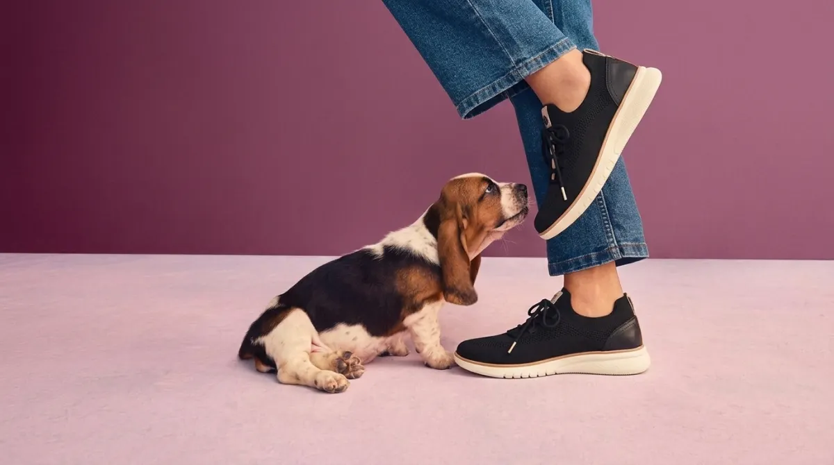 Hush Puppies: The Most Comfortable Shoe Brand for Walking, Work, and Everyday Life