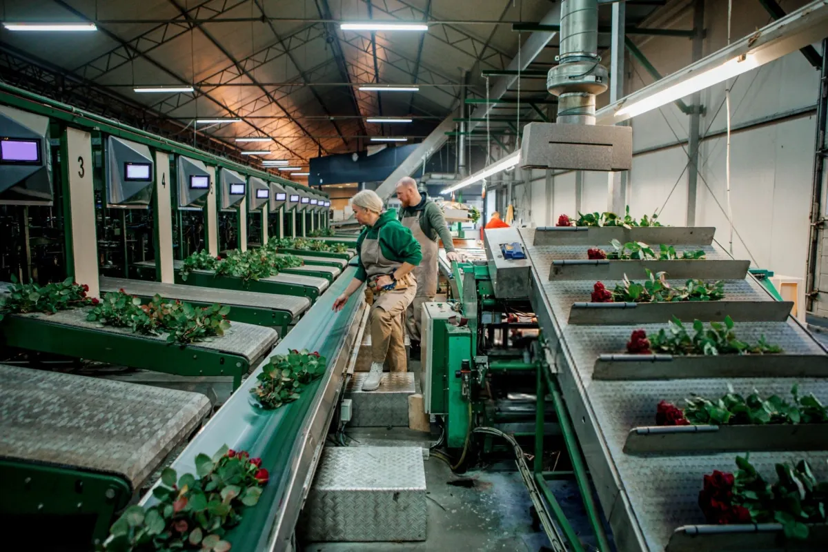 The Netherlands Produces More Food Than Countries Many Times Its Size