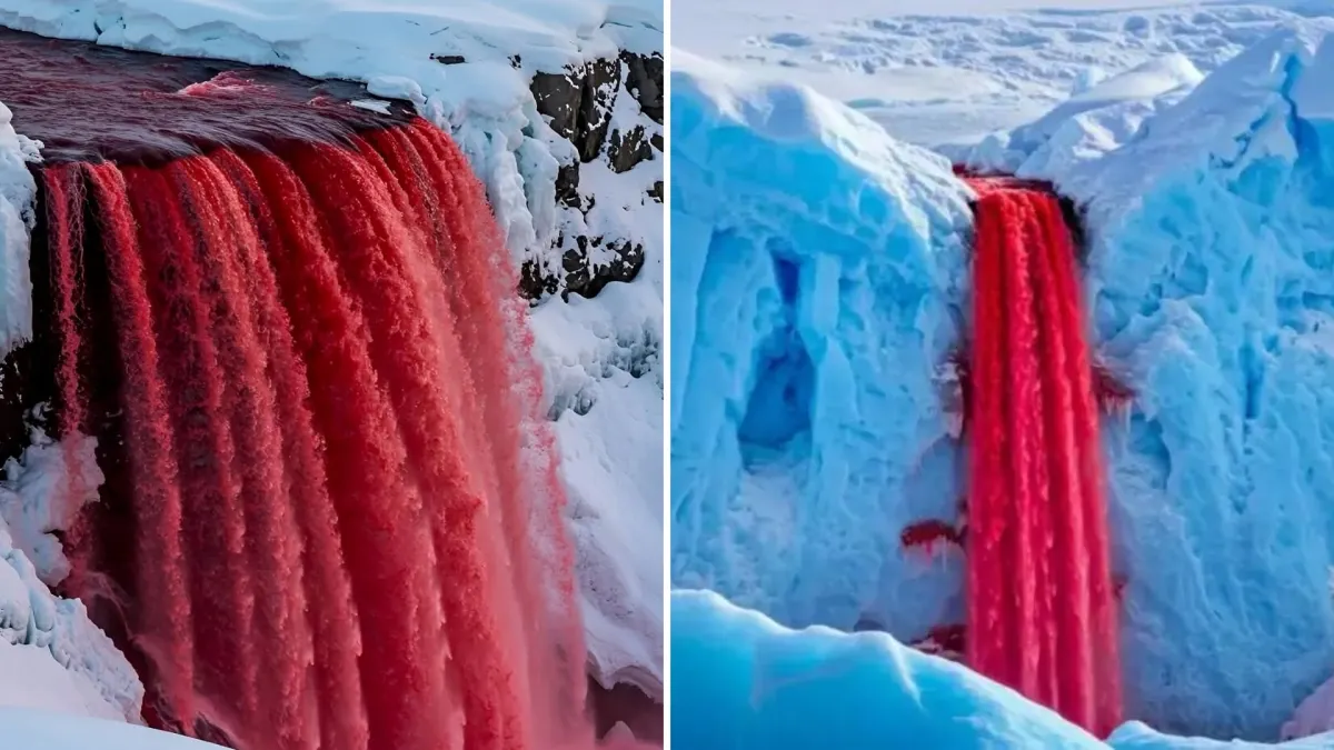 Antarctica's Blood Falls Flows Red From Beneath a Glacier