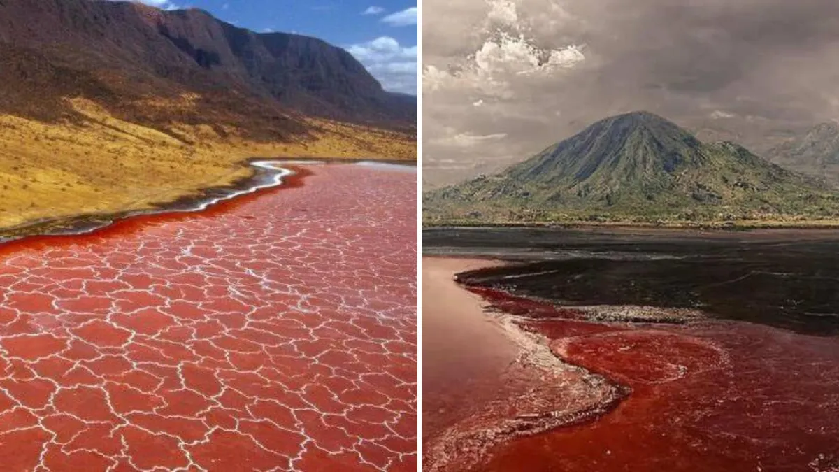Lake Natron in Tanzania Can Turn Animals Into Stone-Like Statues
