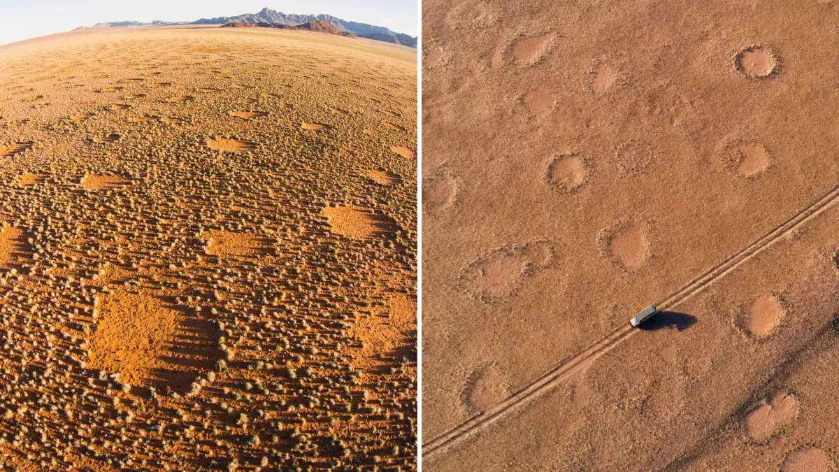 Namibia's Fairy Circles Have Puzzled Scientists for Decades