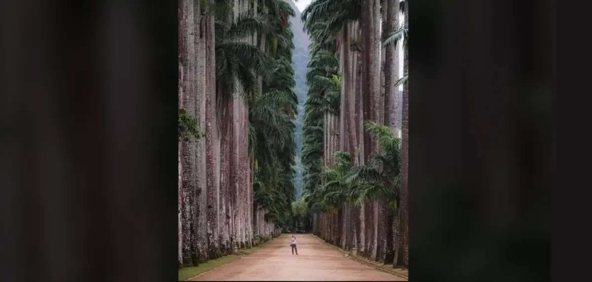 A Botanical Garden That Has Thrived for More Than Two Centuries