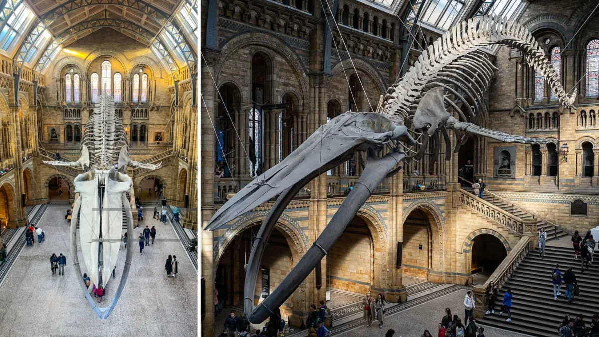 Meet the Giant That Welcomes Millions of Museum Visitors