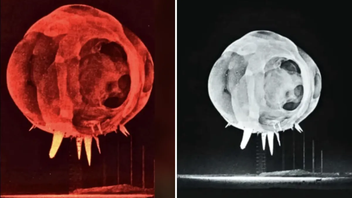 The First Millisecond of a Nuclear Explosion