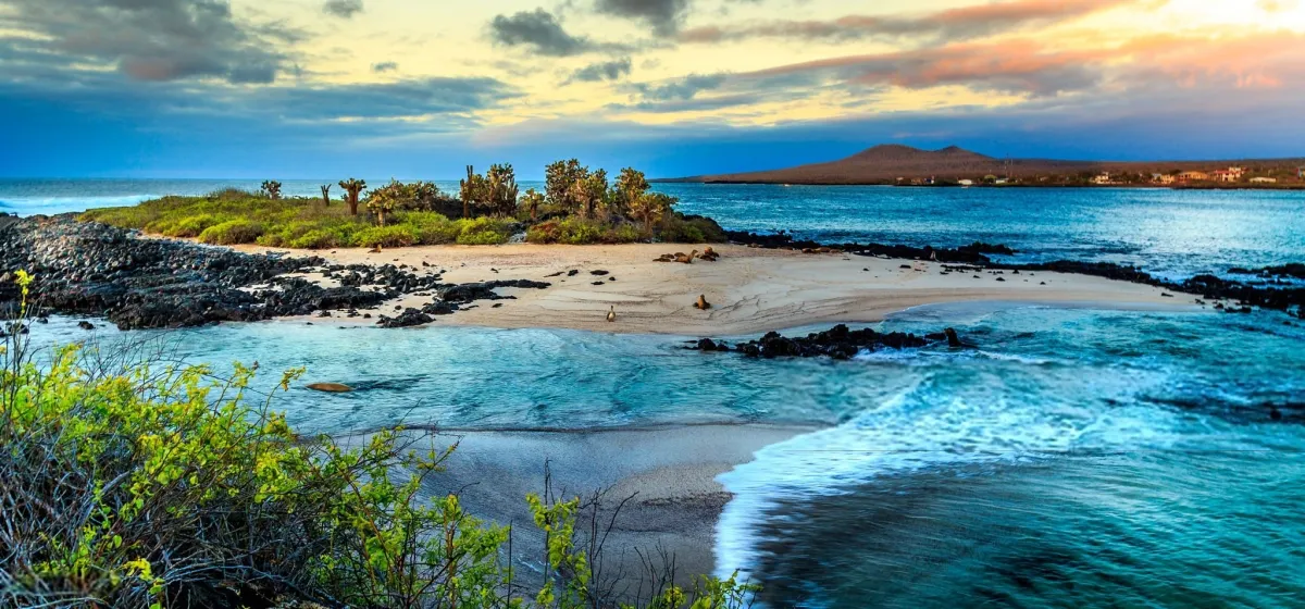 Galápagos Islands, Ecuador