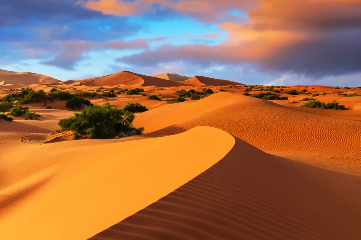 Sahara Desert, Africa