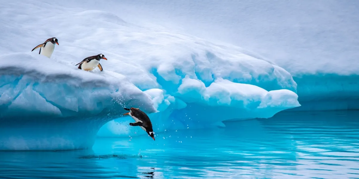 Antarctica