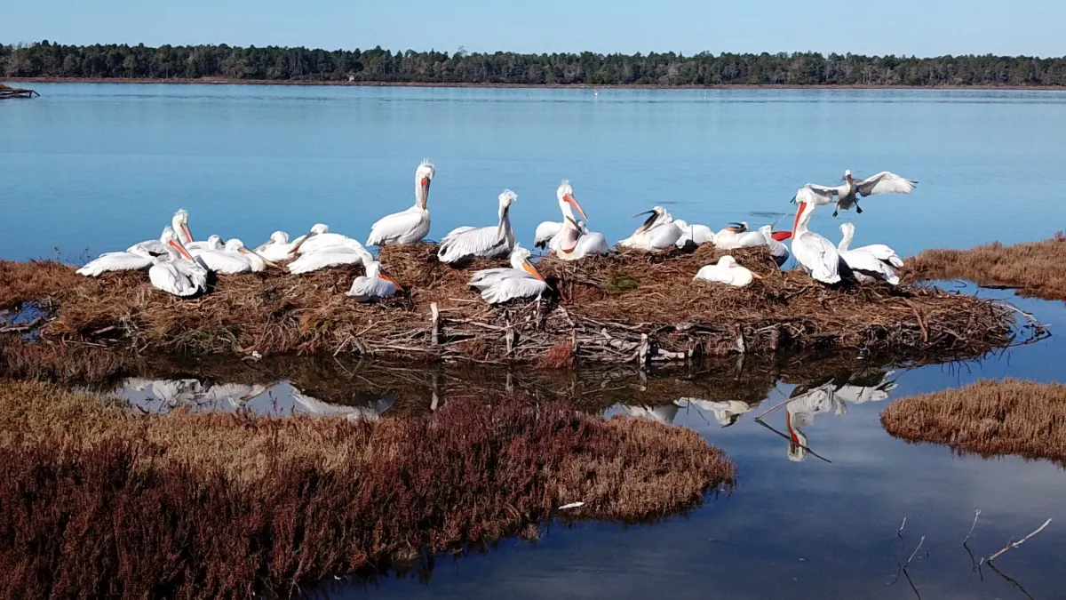 Where Is Karavasta Lagoon?