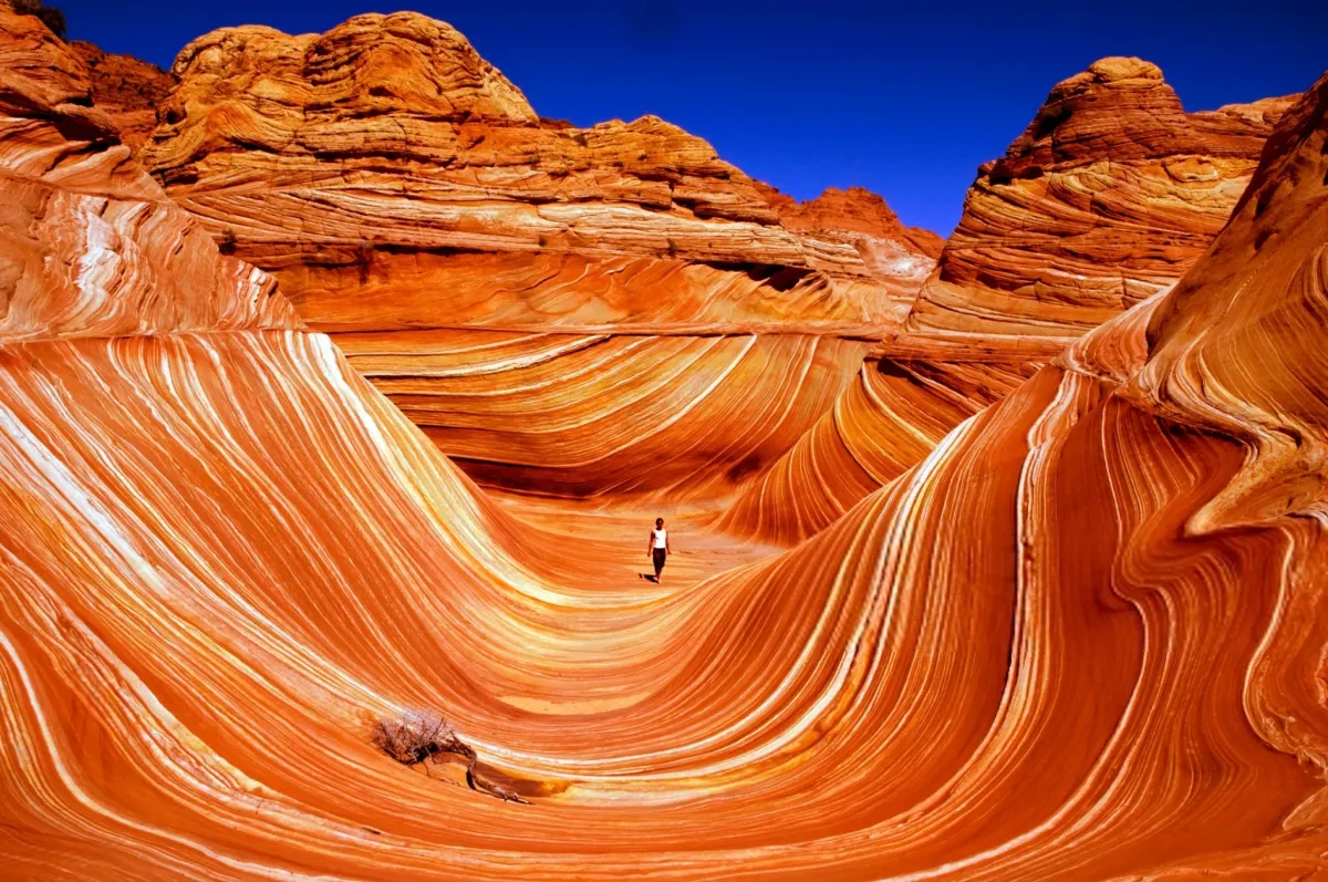 Vermilion Cliffs National Monument Arizona Usa