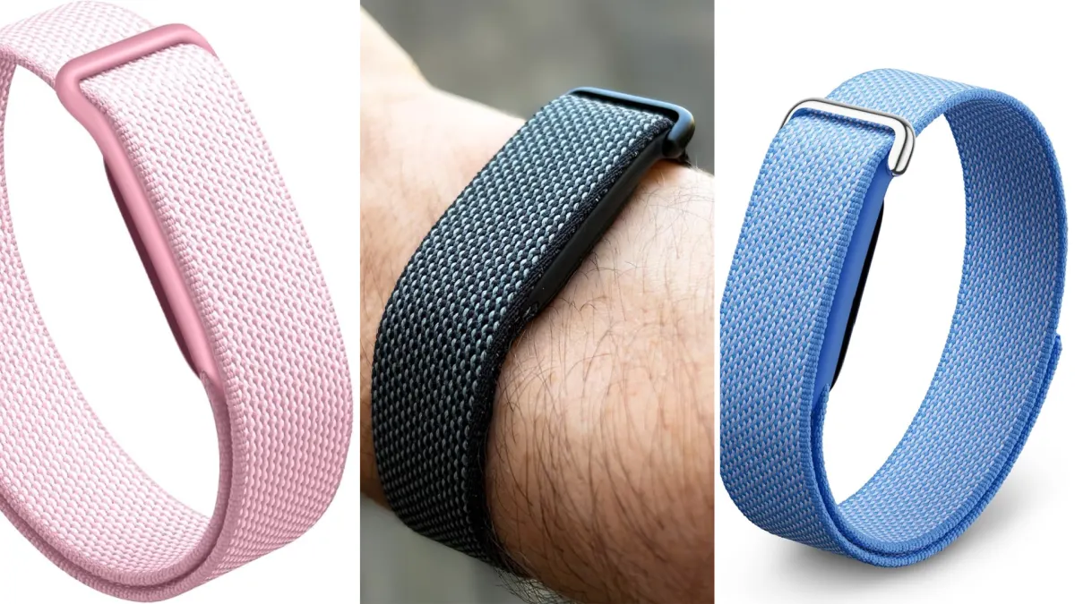 Google Fitbit Air