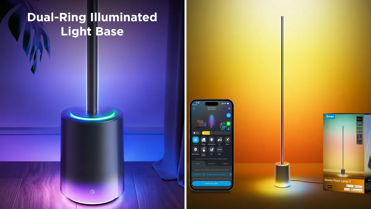 Govee Floor Lamp 3