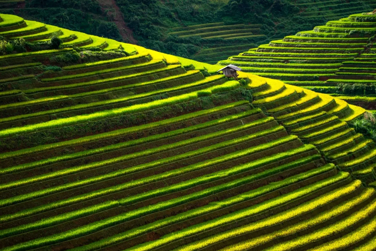 Batad, Philippines