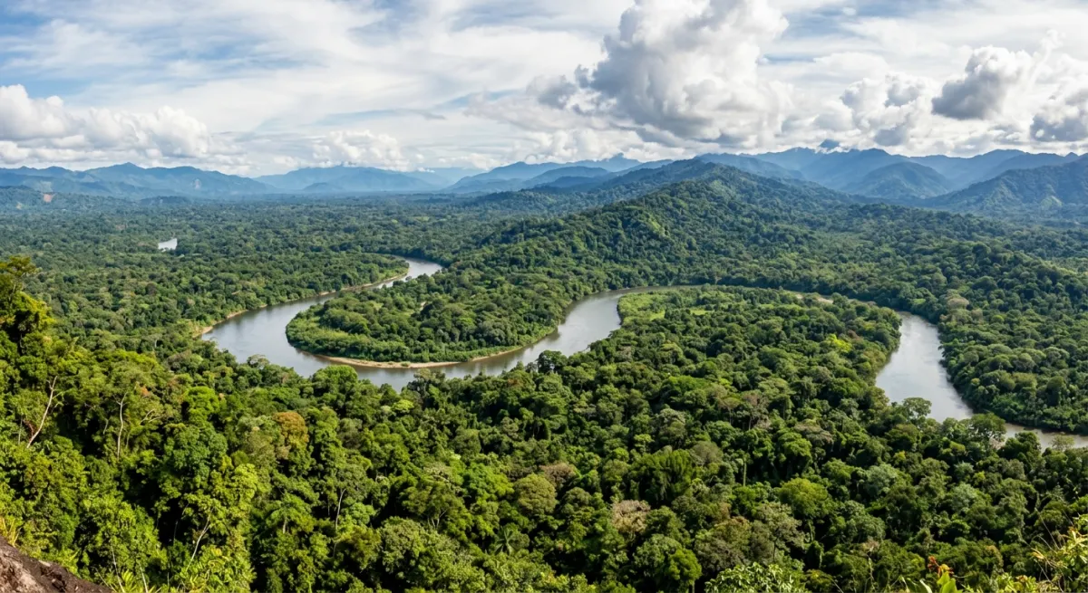 The Amazon Rainforest Spans Nine Countries