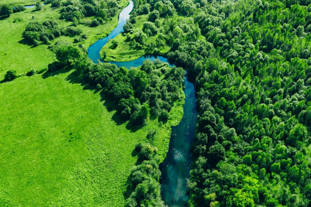The World's Largest River by Volume Flows Through It