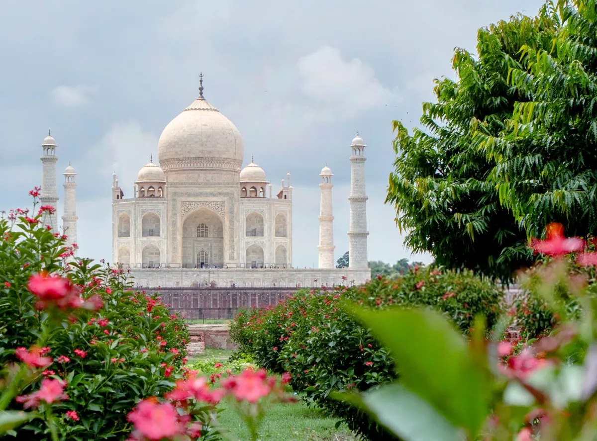 Garden Designed Taj Mahal