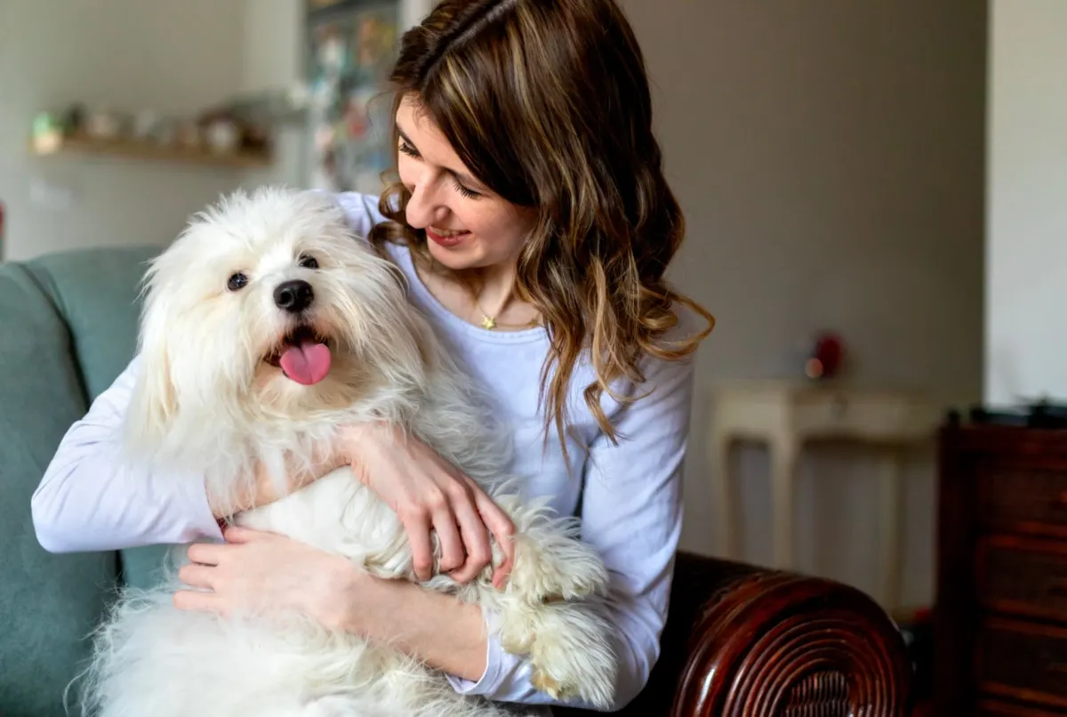 Coton de Tulear