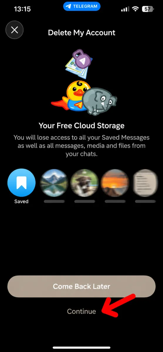 Delete My Account option