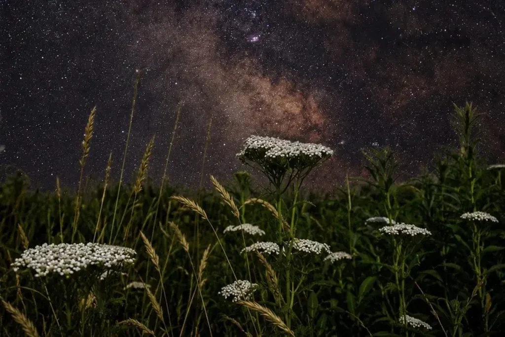 Capturing the Milky Way With an iPhone
