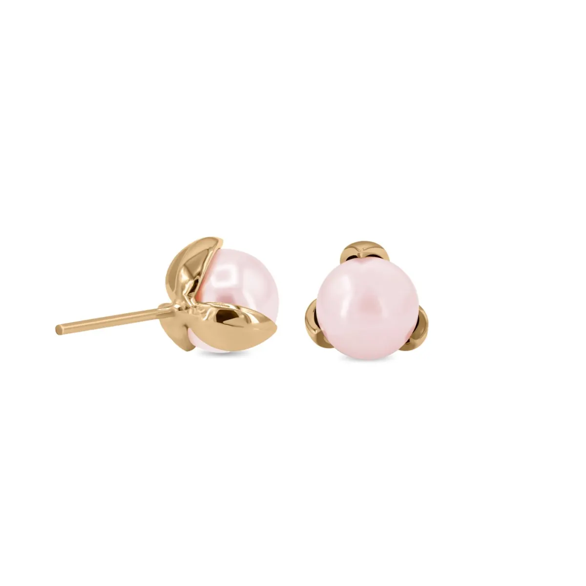Elegant Gold Earrings