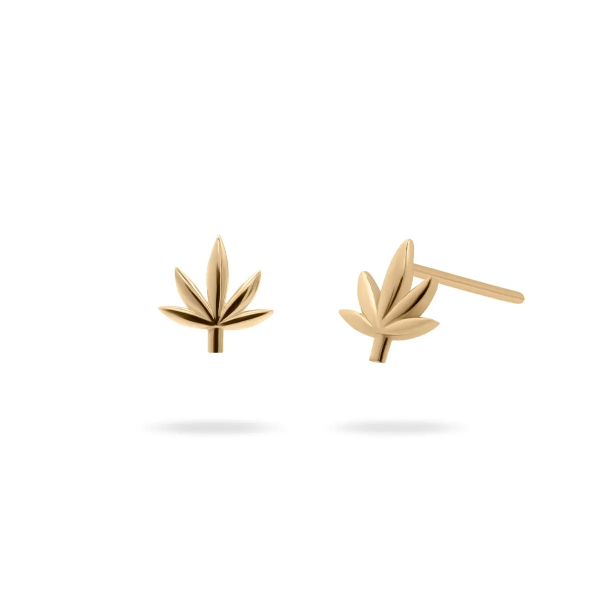 Elegant Gold Earrings