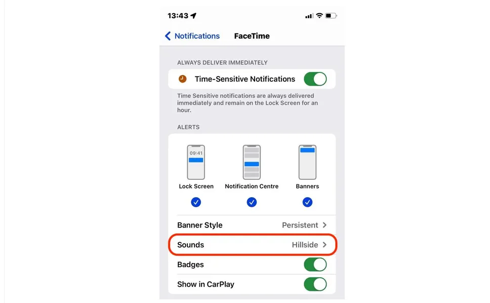 What Are Critical Alerts on iPhone?