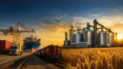 The World’s Largest Agricultural Trading Companies in 2025 | Full Ranking of the Top 8 Global Grain Giants