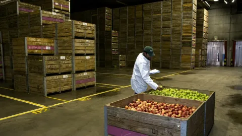 Inside the Massive Frozen Warehouses That Keep the World Fed
