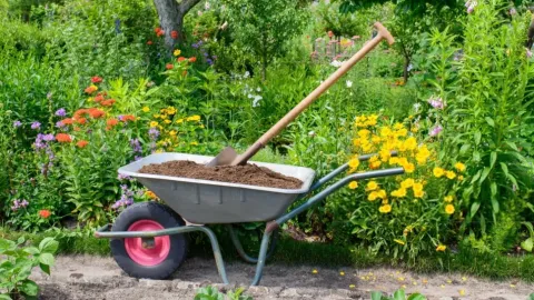 Stop Struggling in the Garden: 10 Ergonomic Wheelbarrows Designed to Save Your Back