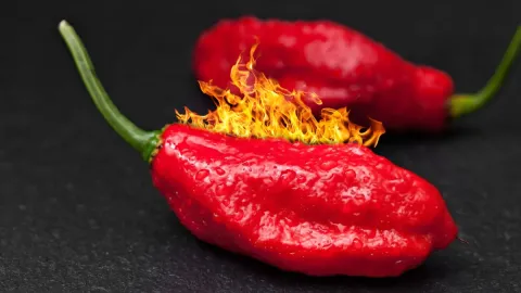 Scoville: The Hidden Compound Behind the Burning Sensation in Peppers, And Why Some Fruits Feel Hotter Than Others