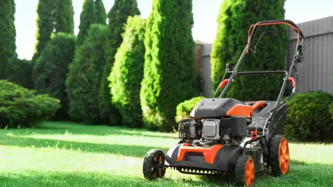 13 Best-Selling Lawn Mowers Amazon Shoppers Keep Buying