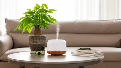 21 Amazon-Favorite Oil Diffusers That Make Any Room Feel Instantly More Relaxing