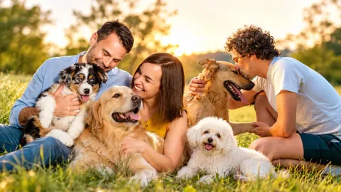 29 Popular Dog Breeds That May Be Better for Allergy Sufferers