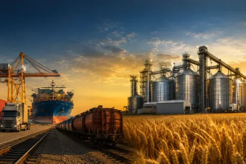 The World’s Largest Agricultural Trading Companies in 2025 | Full Ranking of the Top 8 Global Grain Giants