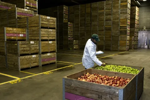 Inside the Massive Frozen Warehouses That Keep the World Fed