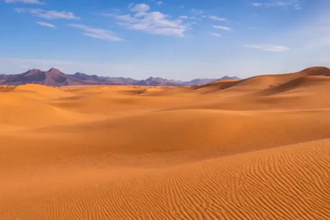 9 Largest Deserts in the World: From the Frozen Antarctic to the Vast Sahara