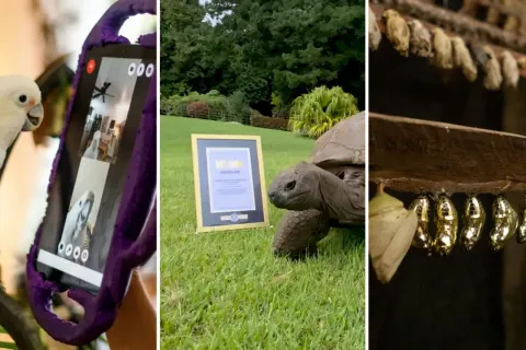 18 Incredible Nature and Science Facts That Feel Too Unreal to Be True