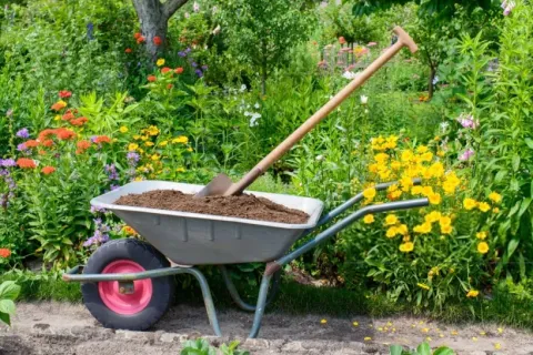 10 Best Wheelbarrows That Make Gardening Easier