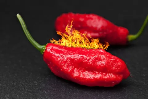 Scoville: The Hidden Compound Behind the Burning Sensation in Peppers, And Why Some Fruits Feel Hotter Than Others