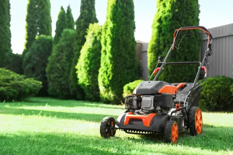 13 Best-Selling Lawn Mowers Amazon Shoppers Keep Buying