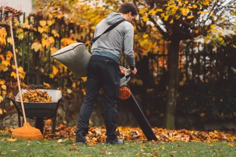 Best Blower Vacuums on Amazon in 2026: Top Picks for Fast Leaf Cleanup and Yard Maintenance