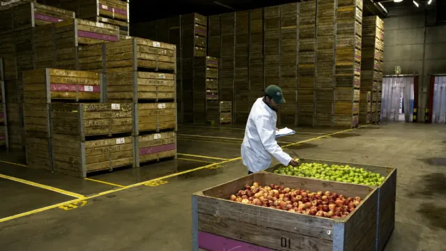 Inside the Massive Frozen Warehouses That Keep the World Fed