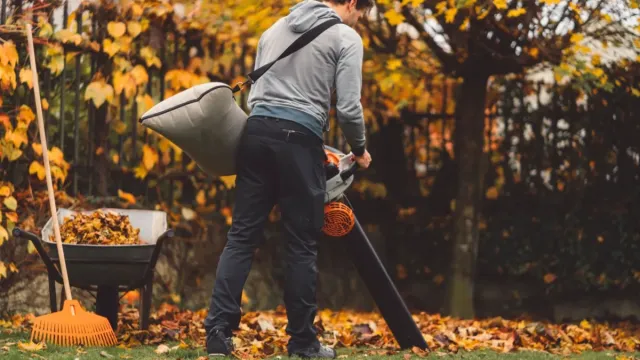 Best Blower Vacuums on Amazon in 2026: Top Picks for Fast Leaf Cleanup and Yard Maintenance