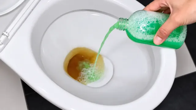 How to Remove Urine Stains and Limescale from a Toilet